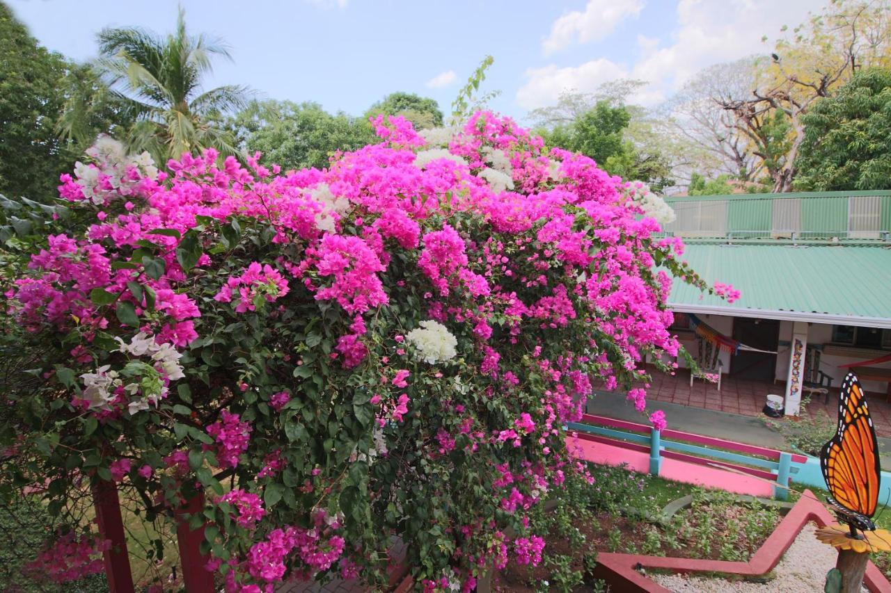 Hotel Marielos Tamarindo Exteriör bild